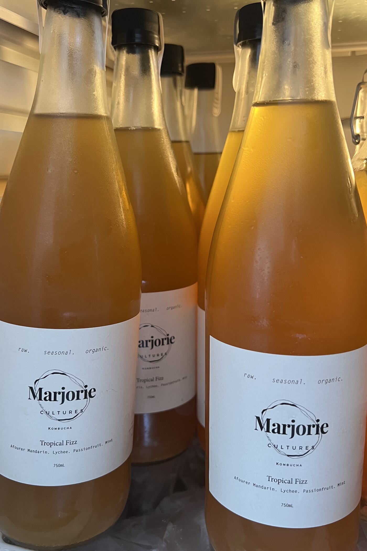 Large-format bottles of Marjorie Cultures Tropical Fizz lined up, labels facing forward.
